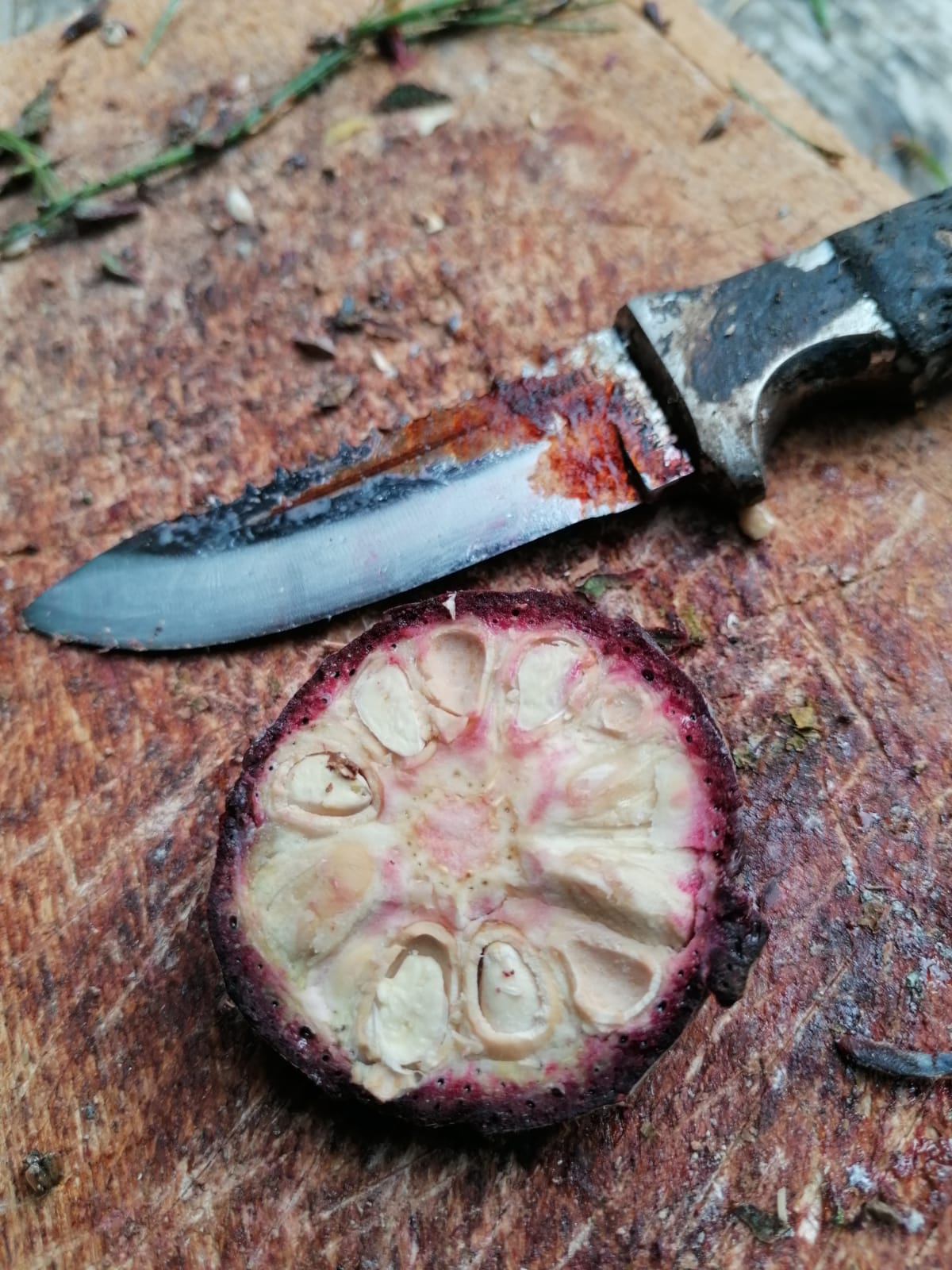 Apfel-Zirbenbrand